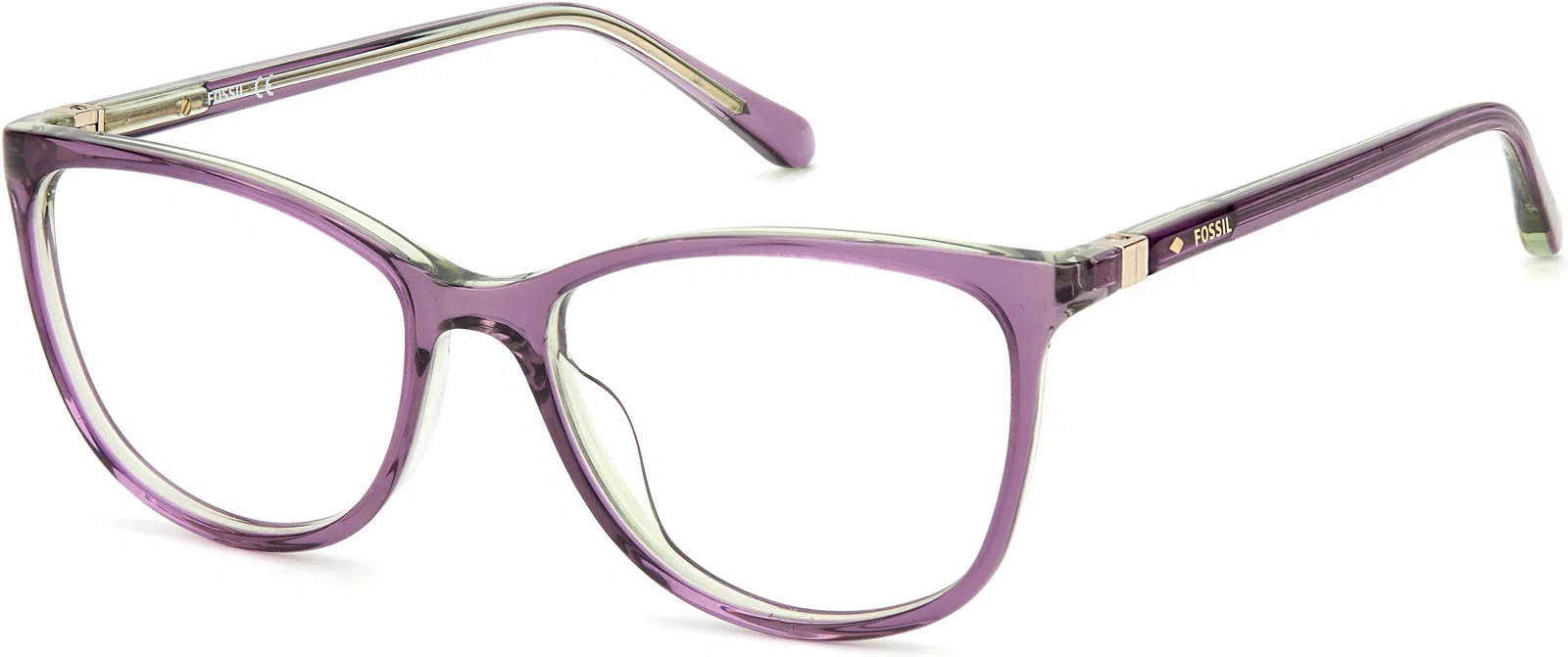Fossil 7071 Eyeglasses - view 53